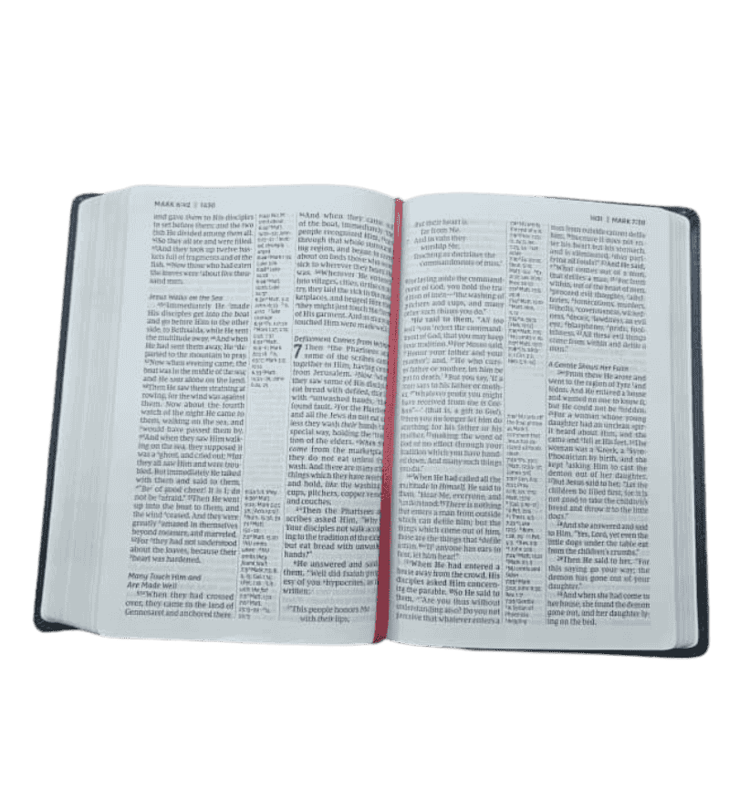 Untitled (810 x 888 px) (17)