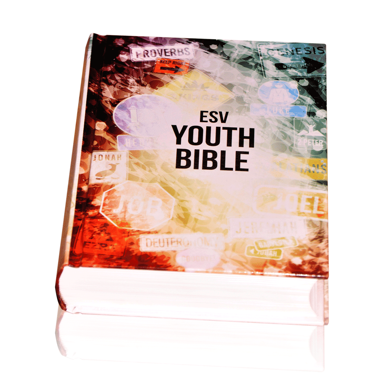 ESV Youth Bible - The Bible Society of Uganda